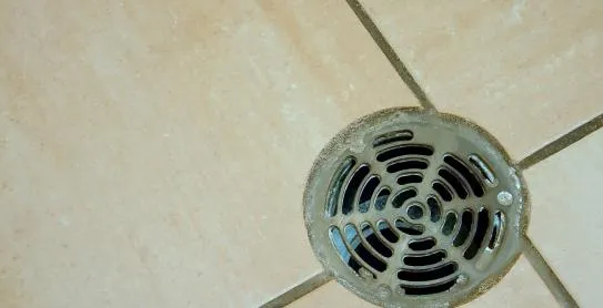 Floor drain set in tile